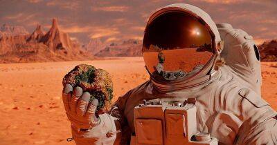 Мэтт Деймон - Ученые предлагают астронавтам на Марсе жить в домах из картофеля: в чем суть идеи - focus.ua - Украина - Англия - Строительство