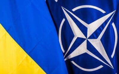 Бесценная помощь или… Стало известно, как члены НАТО поддерживают Украину
