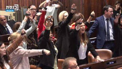 Кнессет провалил закон о защите от семейного насилия: женщины-депутаты устроили беспорядки