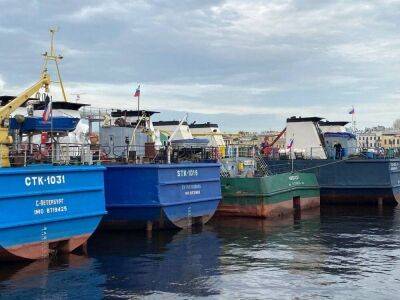 Петербургский морской терминал «Бронка» передадут новым владельцам из Москвы
