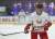 Хоккейные сборные России и Беларуси пропустят еще один сезон