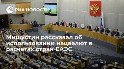 Мишустин: Россия и партнеры в ЕАЭС согласовали подходы к расширению использования нацвалют