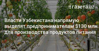 Власти Узбекистана напрямую выделят предпринимателям $130 млн для производства продуктов питания