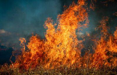 Из-за пала травы в Беларуси произошло более 220 пожаров - ont.by - Белоруссия