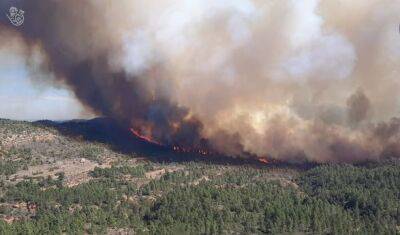 На востоке Испании бушует крупный лесной пожар: видео - unn.com.ua - Украина - Киев - Испания