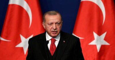 В Турции назвали предварительный процент голосов за Эрдогана на выборах