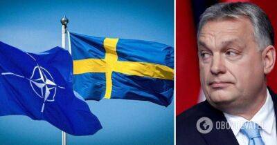 В Венгрии перечислили обвинения шведских чиновников в адрес страны и назвали их проблемой Швеции на пути в НАТО