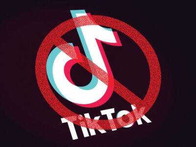 Франция запретила TikTok на рабочих телефонах госслужащих