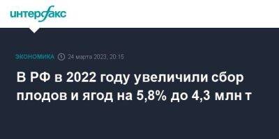 В РФ в 2022 году увеличили сбор плодов и ягод на 5,8% до 4,3 млн т