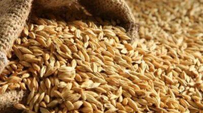 Россияне продолжают вывозить из Мариупольского района украденное зерно