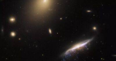 Телескоп Хаббл запечатлел галактическую "медузу" с яркими "щупальцами": что это (фото)