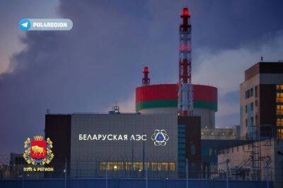 25 марта второй энергоблок БелАЭС выведен на минимально контролируемый уровень мощности - grodnonews.by - Белоруссия