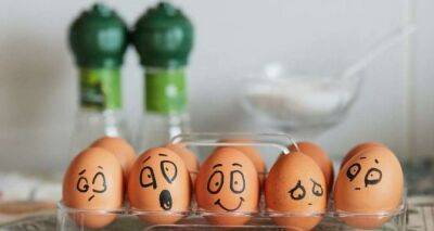 Сколько яиц нужно есть пожилым каждый день? Доктор из Японии рассказал почему - cxid.info - Япония