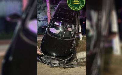 В Ташкенте произошло необычное ДТП. Водитель "Малибу" не справился с управлением, автомобиль вылетел с трассы и буквально повис на дереве. Видео