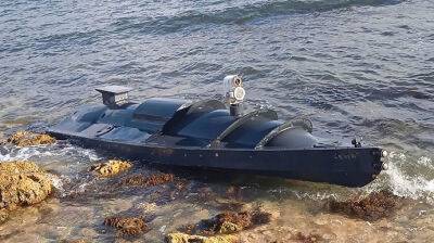 Разведка Британии: Надводные беспилотники несут угрозу для Черноморского флота РФ