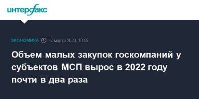 Объем малых закупок госкомпаний у субъектов МСП вырос в 2022 году почти в два раза