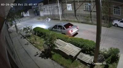 Как найти клад. Видеокамера в Ташкенте засекла в одном месте 28 граждан, что-то искавших в кустах
