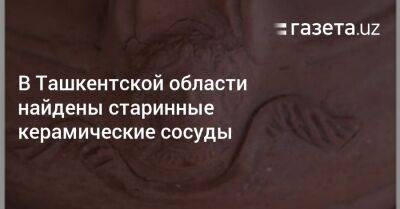 В Ташкентской области найдены старинные керамические сосуды - gazeta.uz - Узбекистан - Турция