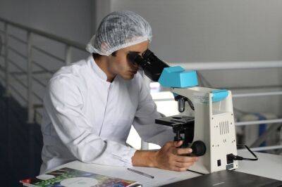 Израильские ученые разработали микроробота, способного удалять раковые клетки
