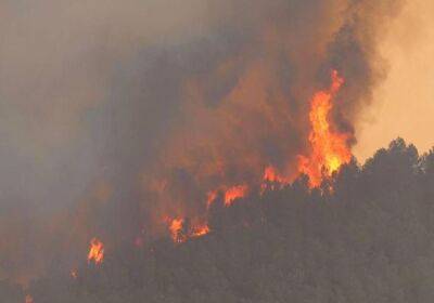 Пожарные Испании до сих пор не могут справиться с первым лесным пожаром