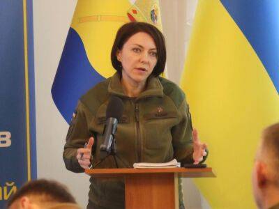 Отдельных волн мобилизации в Украине нет, все происходит в плановом порядке – Маляр