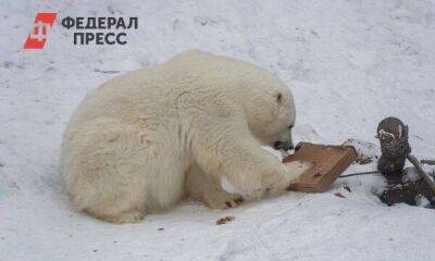 Новосибирский зоопарк поднимет плату за вход с 1 апреля