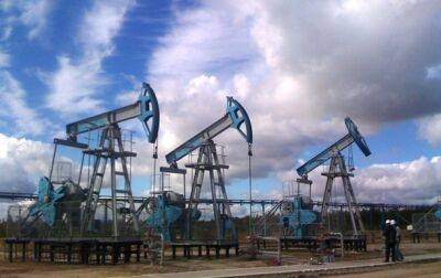 В России заявили о росте поставок нефти в Индию в десятки раз