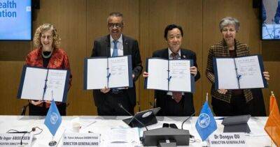 ООН: новая инициатива «Одно здоровье» поможет в борьбе с будущими пандемиями