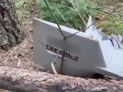 "Нашел, нашел!" В ВСУ показали обломки сбитого в Черниговской области ударного дрона Shahed