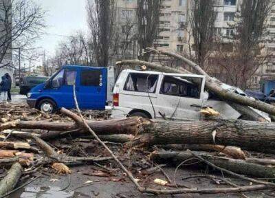 В Одессе деревьями придавило мужчину и женщину | Новости Одессы