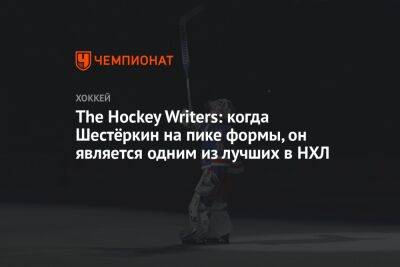 The Hockey Writers: когда Шестёркин на пике формы, он является одним из лучших в НХЛ