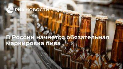 В России с 1 апреля начнется обязательная маркировка пива и слабоалкогольных напитков