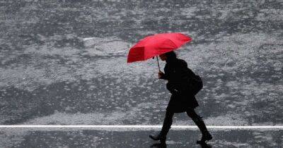 Погода в Украине на 29 марта: Дожди с мокрым снегом и сильным ветром (КАРТА)