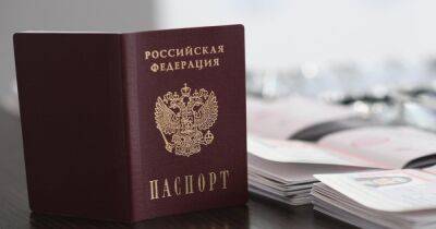 "Не считаю их преступниками": Лубинец об украинцах, получивших в оккупации паспорт РФ