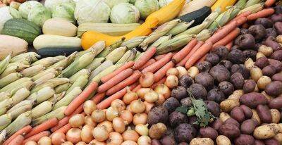 МАРТ: Доля продаж отечественных овощей в Беларуси составила почти 70%