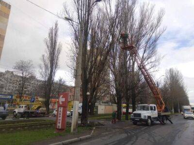 Последствия урагана в Одессе 28 марта: минус сотня деревьев | Новости Одессы