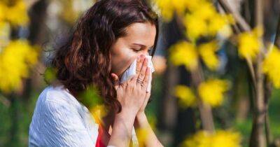 Почему весне радуется не каждый: в Украине примерно 1,8 млн человек страдает аллергическим ринитом