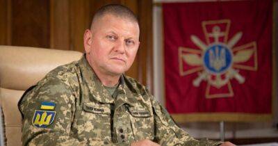 "Украине нужна победа": Залужный провел успешные переговоры с генералом ОВС НАТО