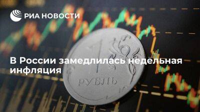 Росстат: инфляция в России с 21 по 27 марта замедлилась до 0,05 процента