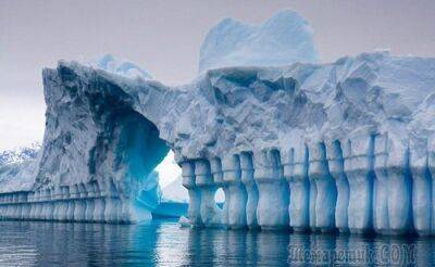 20 невероятных фактов об Антарктиде, которые знают немногие