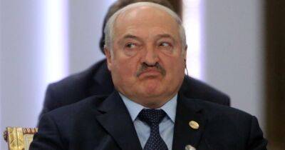"Очень хитрый человек": у Зеленского прокомментировали визит Лукашенко в Китай