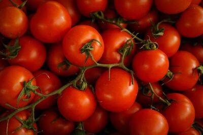 В Тверской области недельный рекорд по цене поставили помидоры