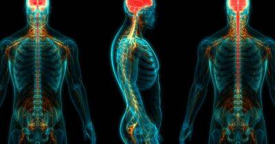 Вылечить паралич. Ученые приближаются к восстановлению поврежденного спинного мозга