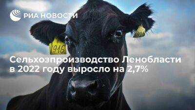 Сельхозпроизводство Ленобласти в 2022 году выросло на 2,7%