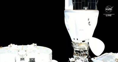 SpaceX доставила новый экипаж на МКС: снова не обошлось без проблем (фото)