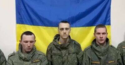 Около 10 тысяч военных РФ захотели сдаться в украинский плен - dsnews.ua - Россия - Украина - Оккупанты