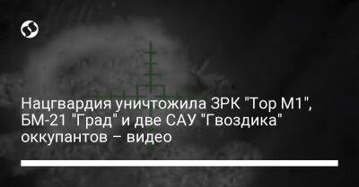 Нацгвардия уничтожила ЗРК "Тор М1", БМ-21 "Град" и две САУ "Гвоздика" оккупантов – видео