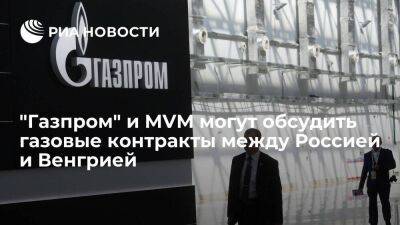 Станиславов: "Газпром" и MVM могут обсудить изменение газовых контрактов с Венгрией