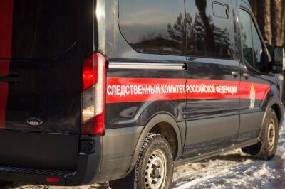 В деревне в Конаковском районе на пожаре погибла женщина