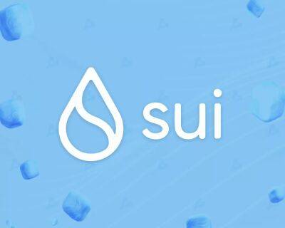 Команда Sui Network запустила «перманентный тестнет» проекта - forklog.com